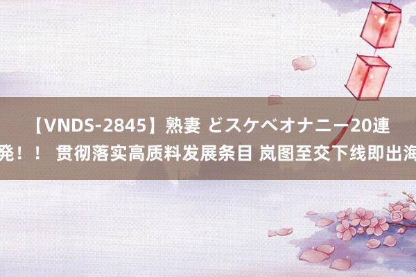 【VNDS-2845】熟妻 どスケベオナニー20連発！！ 贯彻落实高质料发展条目 岚图至交下线即出海