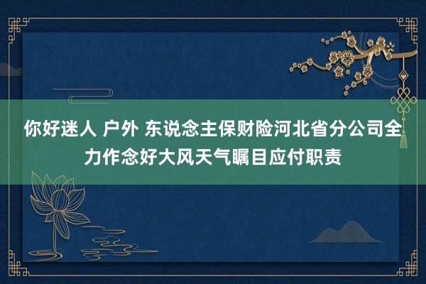 你好迷人 户外 东说念主保财险河北省分公司全力作念好大风天气瞩目应付职责