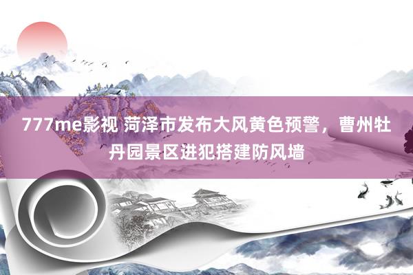 777me影视 菏泽市发布大风黄色预警，曹州牡丹园景区进犯搭建防风墙