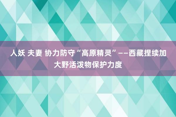 人妖 夫妻 协力防守“高原精灵”——西藏捏续加大野活泼物保护力度