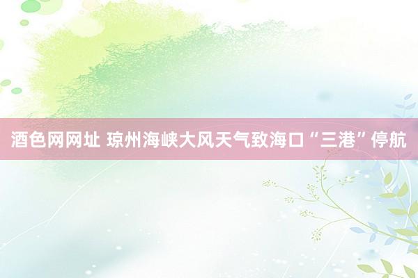 酒色网网址 琼州海峡大风天气致海口“三港”停航
