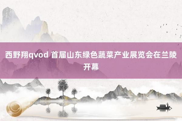 西野翔qvod 首届山东绿色蔬菜产业展览会在兰陵开幕