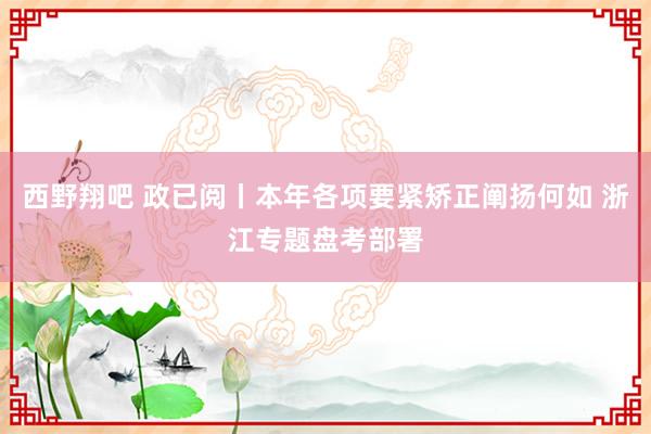 西野翔吧 政已阅丨本年各项要紧矫正阐扬何如 浙江专题盘考部署