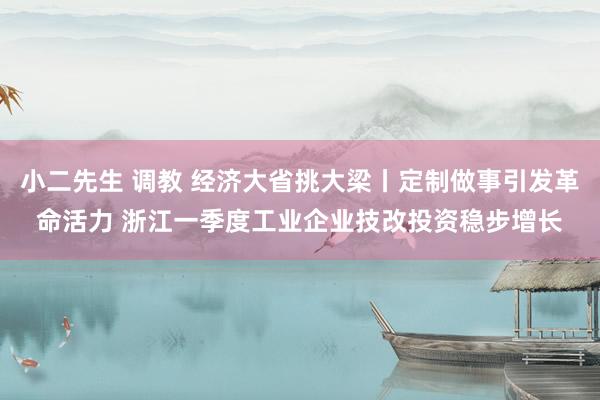 小二先生 调教 经济大省挑大梁丨定制做事引发革命活力 浙江一季度工业企业技改投资稳步增长