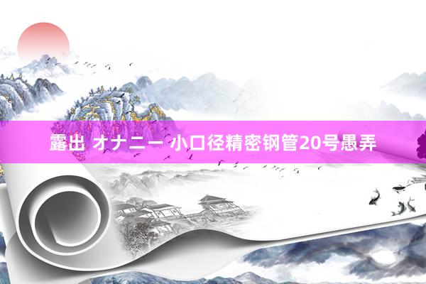 露出 オナニー 小口径精密钢管20号愚弄