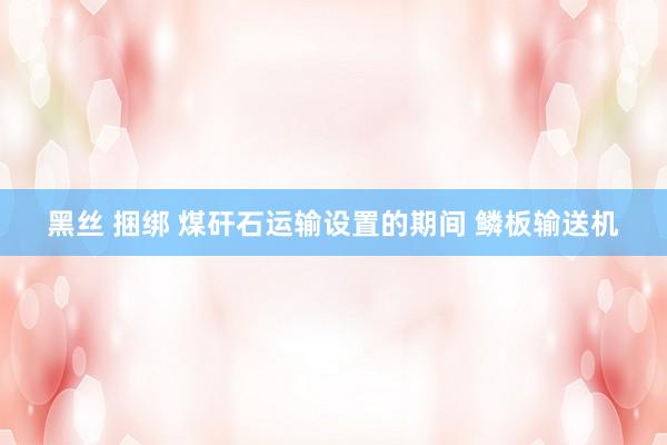 黑丝 捆绑 煤矸石运输设置的期间 鳞板输送机