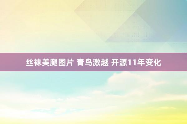 丝袜美腿图片 青鸟激越 开源11年变化
