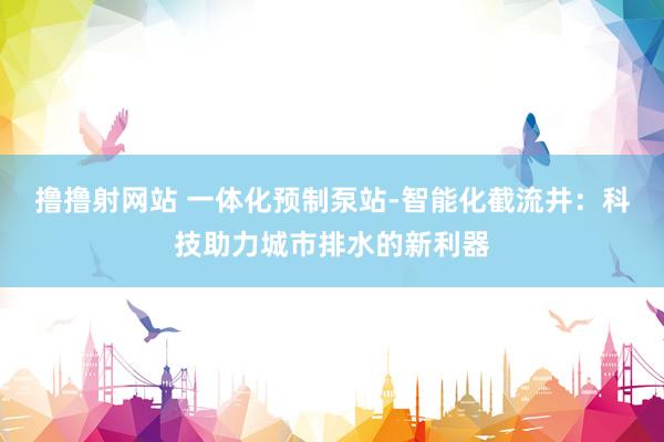 撸撸射网站 一体化预制泵站-智能化截流井：科技助力城市排水的新利器