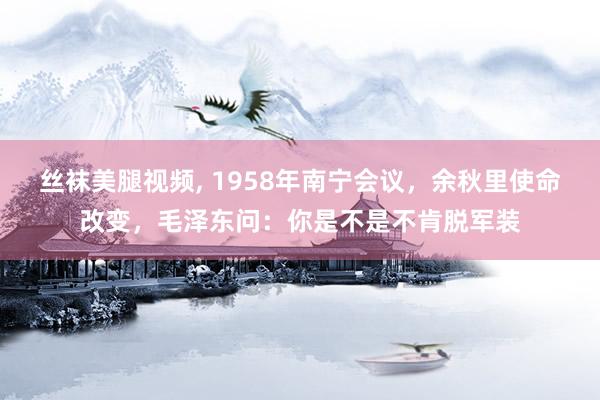 丝袜美腿视频, 1958年南宁会议，余秋里使命改变，毛泽东问：你是不是不肯脱军装
