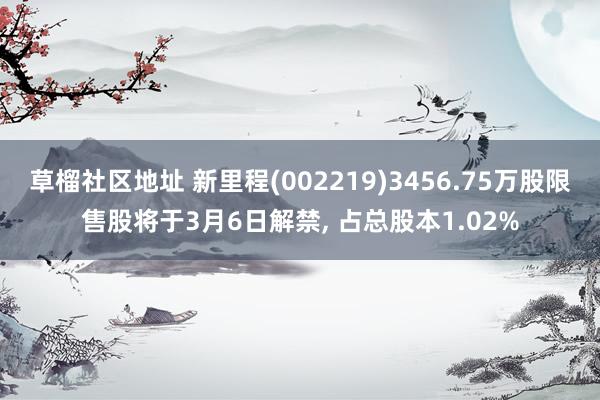 草榴社区地址 新里程(002219)3456.75万股限售股将于3月6日解禁, 占总股本1.02%