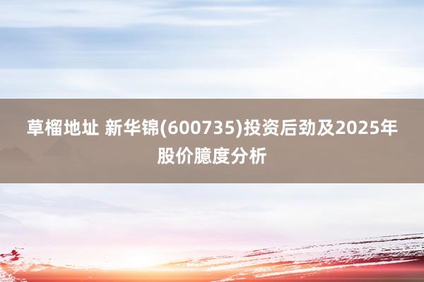 草榴地址 新华锦(600735)投资后劲及2025年股价臆度分析