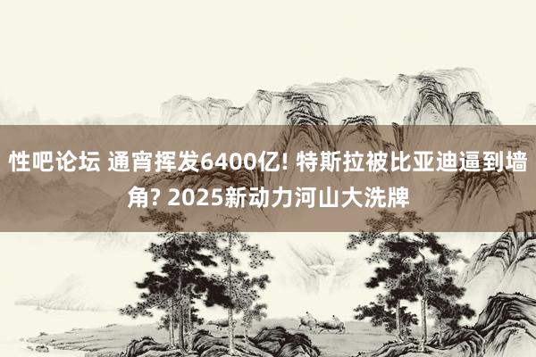 性吧论坛 通宵挥发6400亿! 特斯拉被比亚迪逼到墙角? 2025新动力河山大洗牌