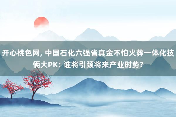 开心桃色网, 中国石化六强省真金不怕火葬一体化技俩大PK: 谁将引颈将来产业时势?