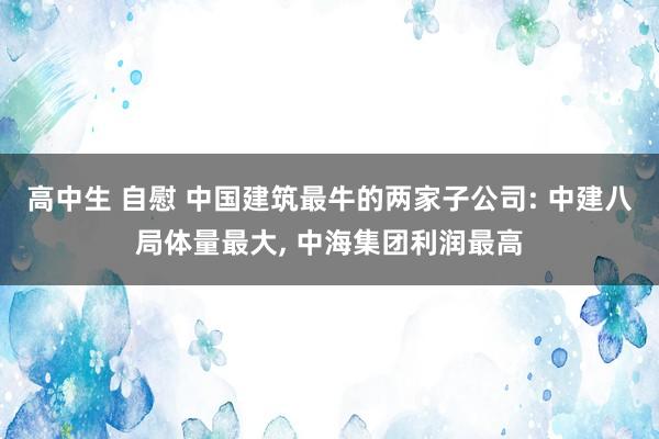 高中生 自慰 中国建筑最牛的两家子公司: 中建八局体量最大, 中海集团利润最高