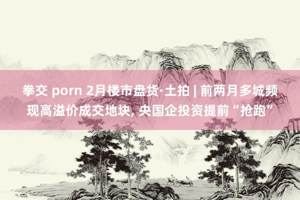 拳交 porn 2月楼市盘货·土拍 | 前两月多城频现高溢价成交地块, 央国企投资提前“抢跑”
