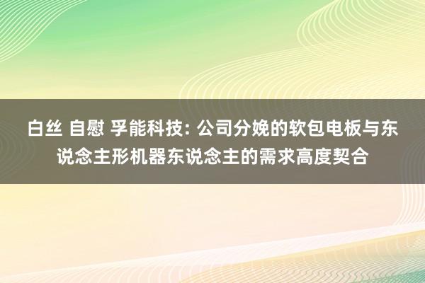 白丝 自慰 孚能科技: 公司分娩的软包电板与东说念主形机器东说念主的需求高度契合