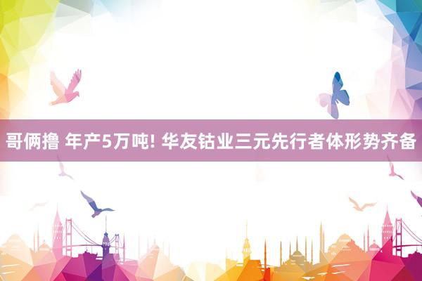 哥俩撸 年产5万吨! 华友钴业三元先行者体形势齐备