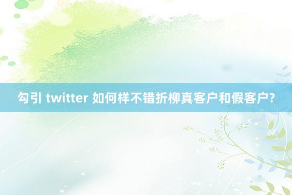 勾引 twitter 如何样不错折柳真客户和假客户?