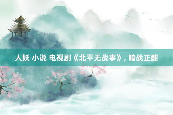 人妖 小说 电视剧《北平无战事》, 暗战正酣