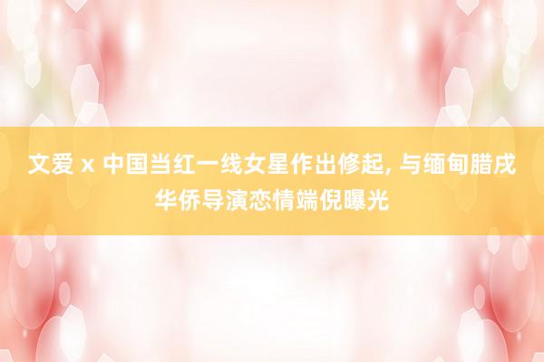 文爱 x 中国当红一线女星作出修起, 与缅甸腊戌华侨导演恋情端倪曝光