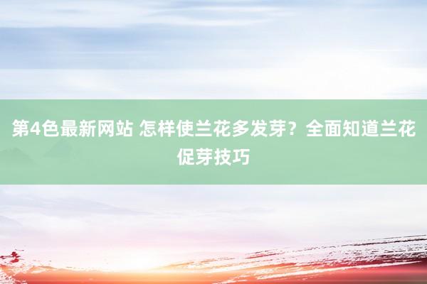 第4色最新网站 怎样使兰花多发芽？全面知道兰花促芽技巧