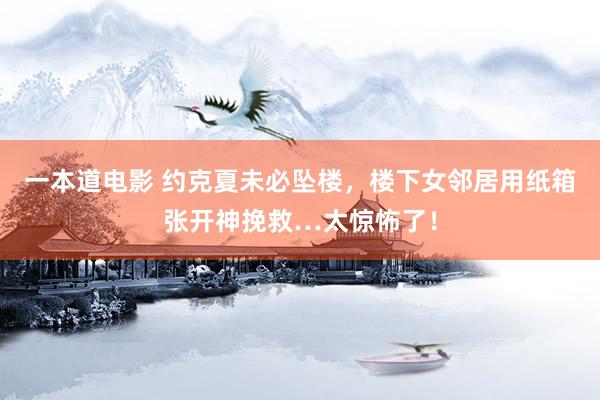 一本道电影 约克夏未必坠楼，楼下女邻居用纸箱张开神挽救…太惊怖了！