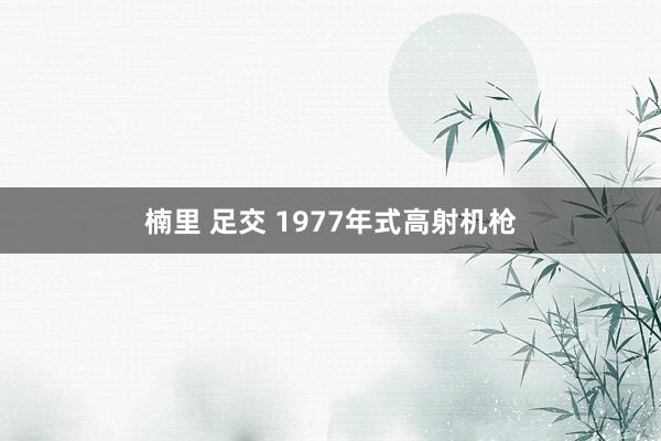 楠里 足交 1977年式高射机枪