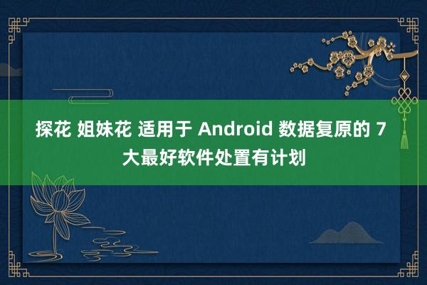 探花 姐妹花 适用于 Android 数据复原的 7 大最好软件处置有计划