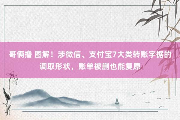 哥俩撸 图解！涉微信、支付宝7大类转账字据的调取形状，账单被删也能复原