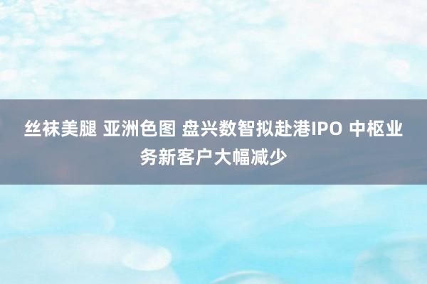 丝袜美腿 亚洲色图 盘兴数智拟赴港IPO 中枢业务新客户大幅减少