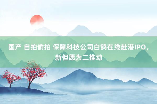 国产 自拍偷拍 保障科技公司白鸽在线赴港IPO，新但愿为二推动